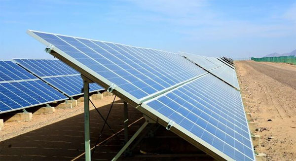 �B(y��ng)ֳ��(ch��ng)̫�(y��ng)�ܰl(f��)�ϵ�y(t��ng)