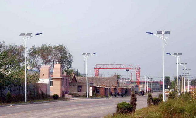 新農(nóng)村路燈桿價格
