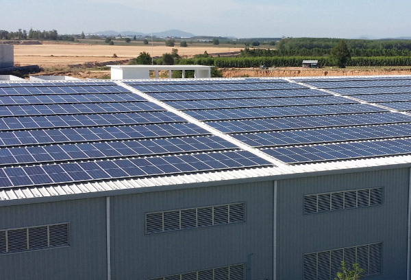 光伏大棚 光伏大棚